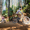 CINTA DE ARRASTRE PARA BICICLETA SHOTGUN NEGRA
