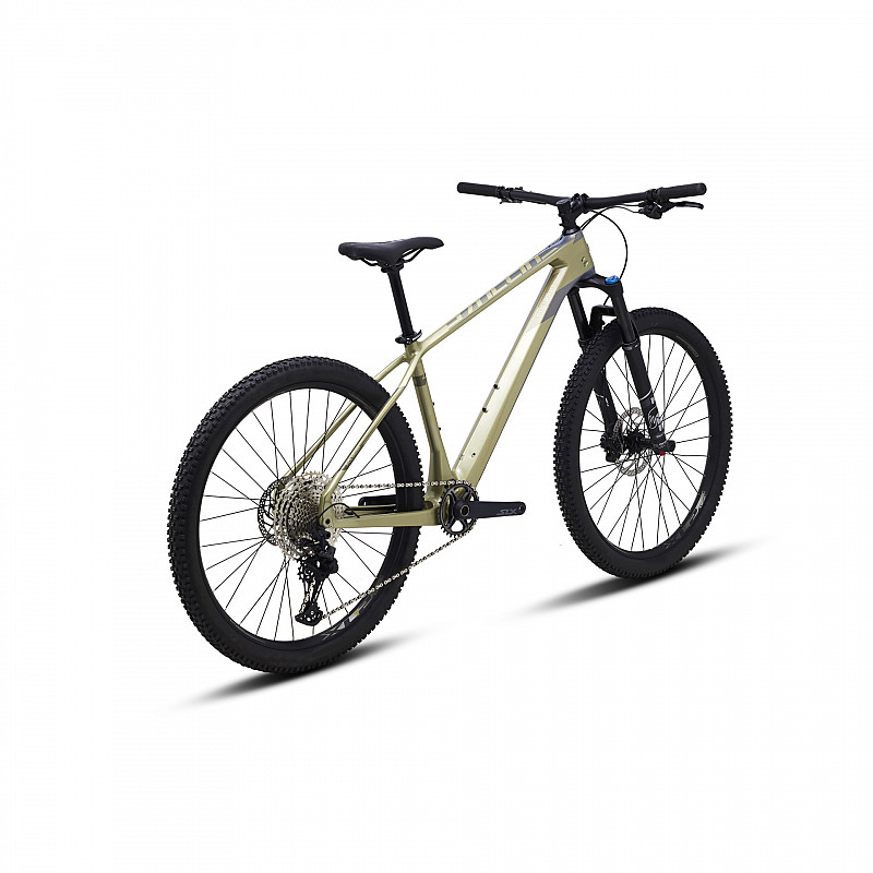 polygon syncline carbon